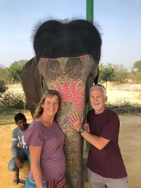 Jaipur: Elephant Interaction Tour - What to Expect from the Jaipur Elephant Interaction Tour