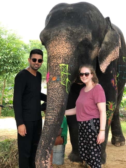 Jaipur: Elephant Interaction Tour - Who Should Consider This Experience?
