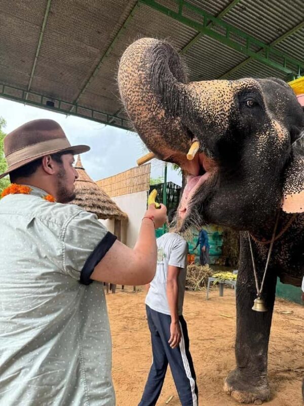 Jaipur Elephant Village: All Activity in Village with Pickup - Why This Tour Is Worth Considering