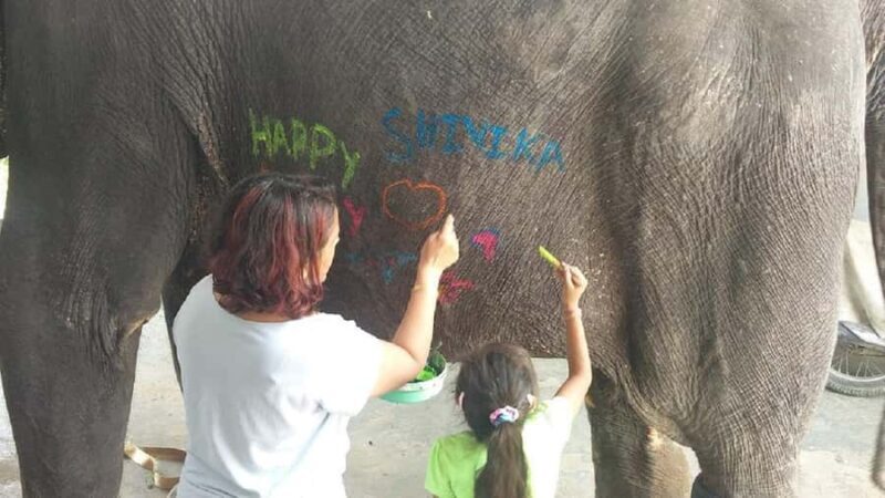 Jaipur Elephant Village: All Activity in Village with Pickup - Final Thoughts