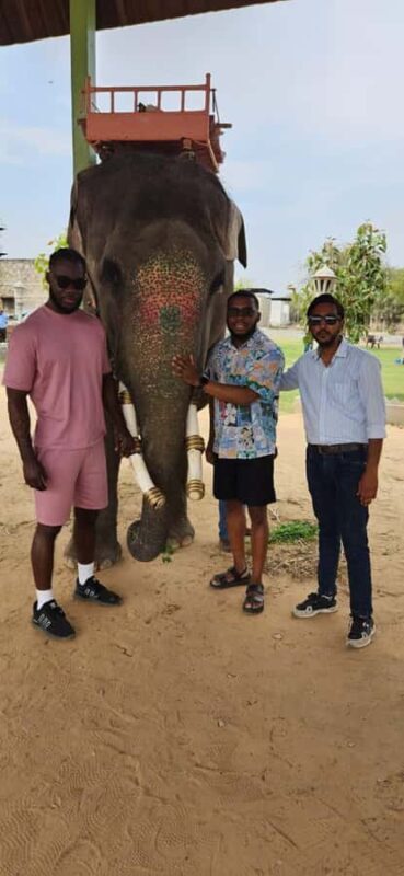 Jaipur Elephant Village: All Activity in Village with Pickup - FAQ