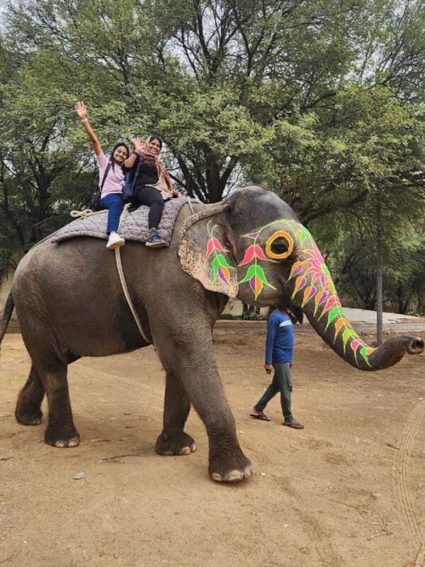 Jaipur Elephant Village: All Activity in Village with Pickup - Final Thoughts: Who Should Consider This Tour?