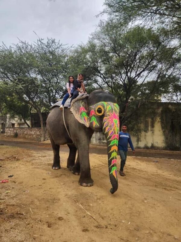 Jaipur Elephant Village: All Activity in Village with Pickup - FAQs