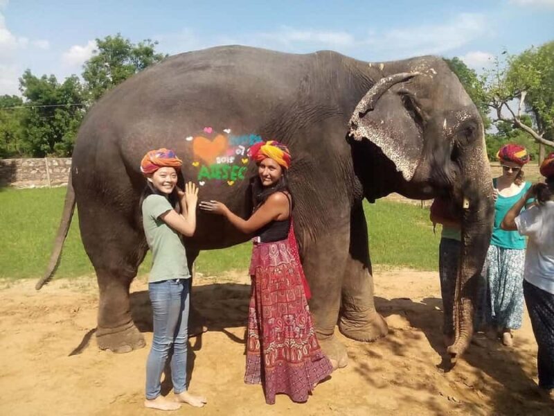 Jaipur Elephant Village: Elephant Riding, Painting, Feeding - Good To Know