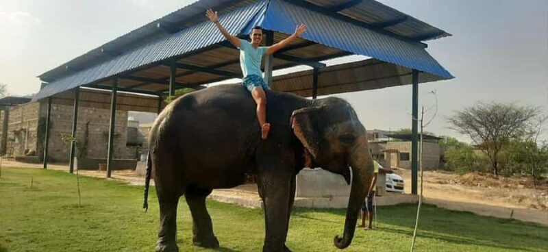 Jaipur Elephant Village: Elephant Riding, Painting, Feeding - The Experience: What Real Travelers Say