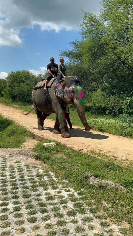 Jaipur Elephant Village: Elephant Riding, Painting, Feeding - Who Should Consider This Tour?