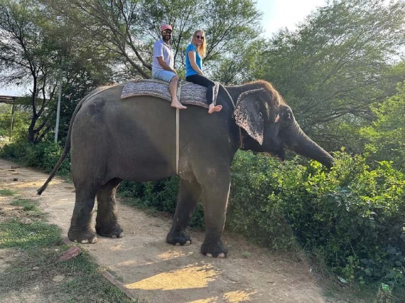 Jaipur Elephant Village: Elephant Riding, Painting, Feeding - FAQs