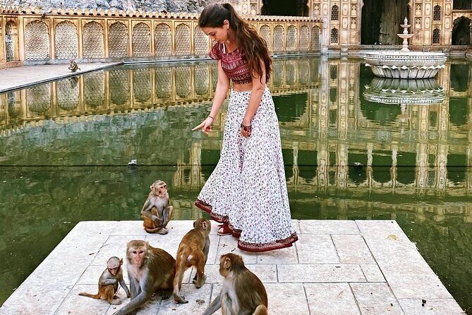 Jaipur Evening Tour with a Visit to the Monkey Temple - Who Should Consider This Tour?