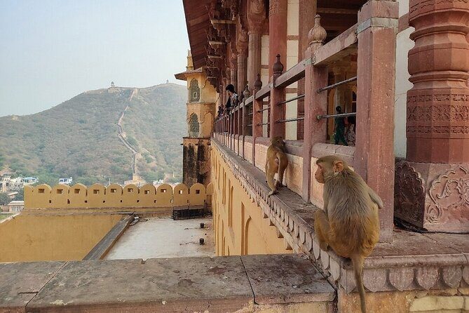 Jaipur Evening Tour with Monkey Temple and Block Print - FAQ