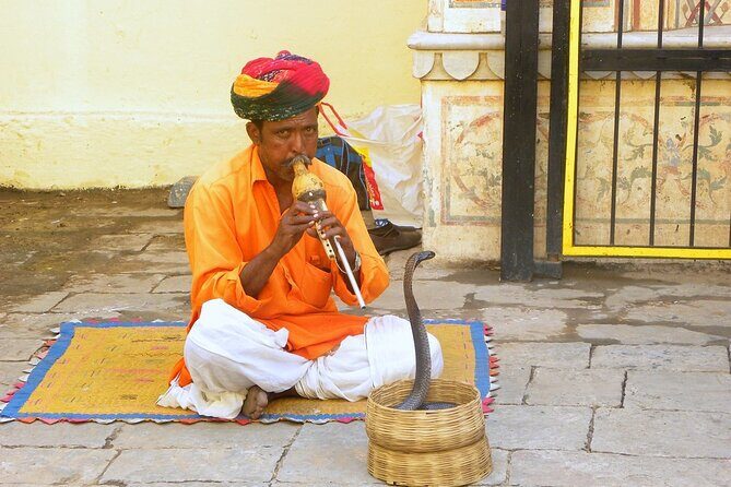 Jaipur Evening Tour with Monkey Temple and Block Print - Final Thoughts