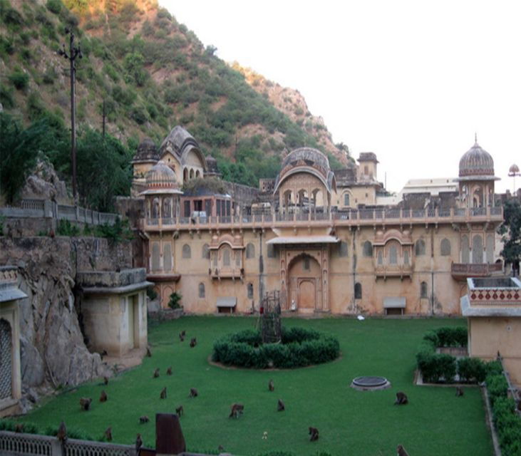 Jaipur: Full-Day City Tour With Camel Ride and Monkey Temple - Activity Details