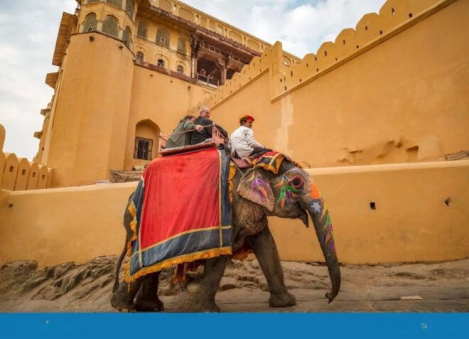 Jaipur Full Day City Tour With Female Guide (For Girls Only) - Full Description