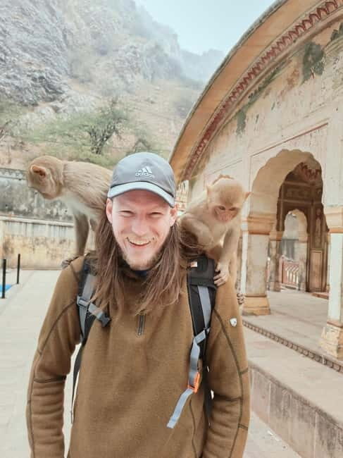 Jaipur Full-Day City Tour with Monkey Temple By AC Car - The Itinerary: What to Expect from Start to Finish