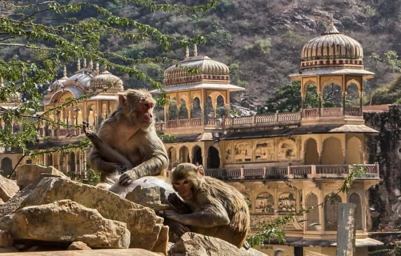 Jaipur : Full day Jaipur City Tour and Drop Delhi - An In-Depth Look at the Tour