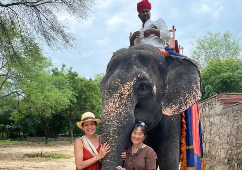 Jaipur : Full day Jaipur City Tour and Drop Delhi - Who Will Love This Tour?