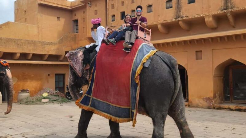 Jaipur : Full day Jaipur City Tour and Drop Delhi - The Sum Up