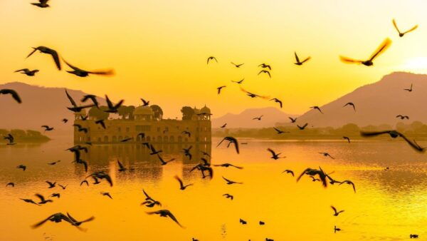 Jaipur: Full-Day Private Sightseeing Tour by Tuk Tuk - Frequently Asked Questions
