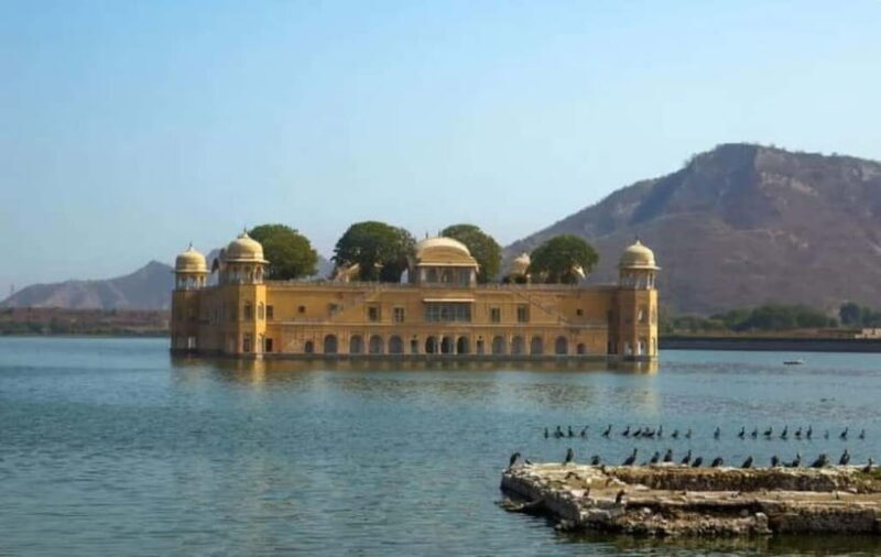 Jaipur: Full-Day Sightseeing Tour By Car with Guide - An Overview of the Jaipur Full-Day Tour
