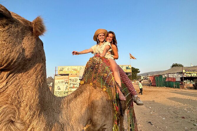 Jaipur Full-Day Sightseeing Tour - Overview of the Jaipur Full-Day Sightseeing Tour