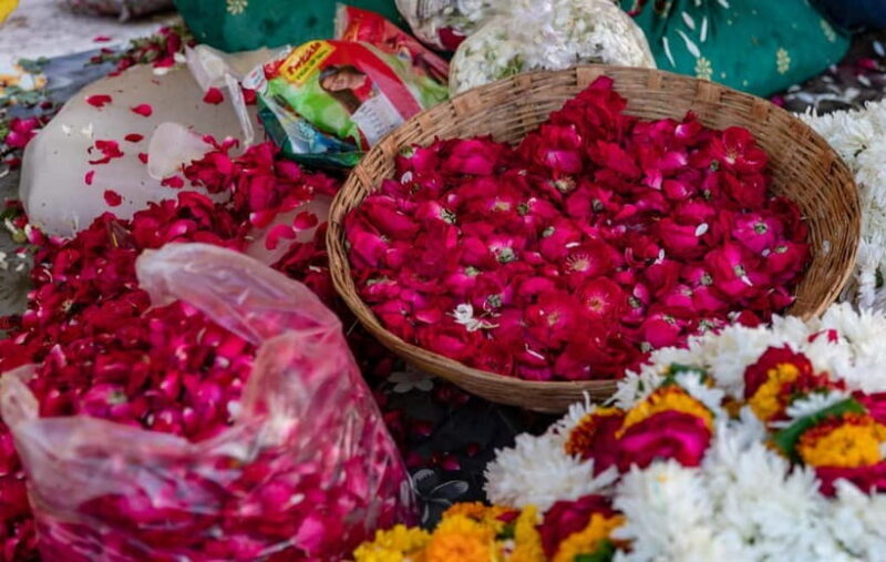 Jaipur: Full-Day Tour with Amer Fort and Nahargarh Sunset - Authentic Insights from Reviews