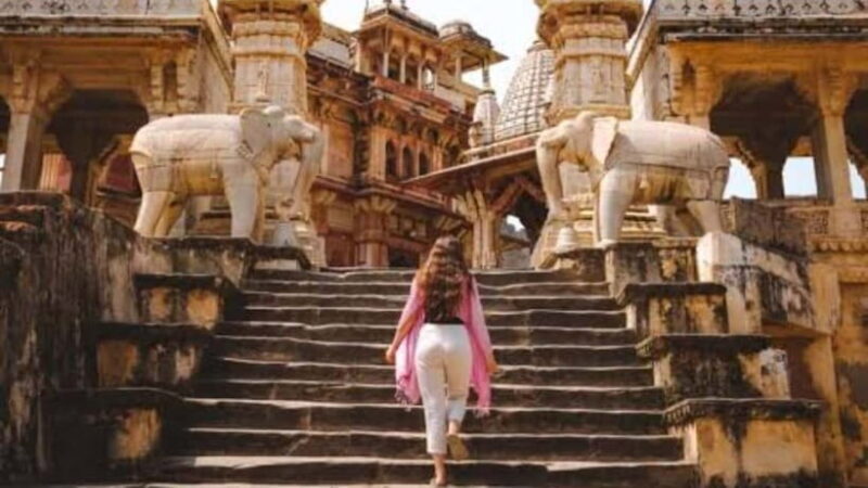 Jaipur: Half Day & Full Day Customize Private Tour in Jaipur - Who Is This Tour Best For?