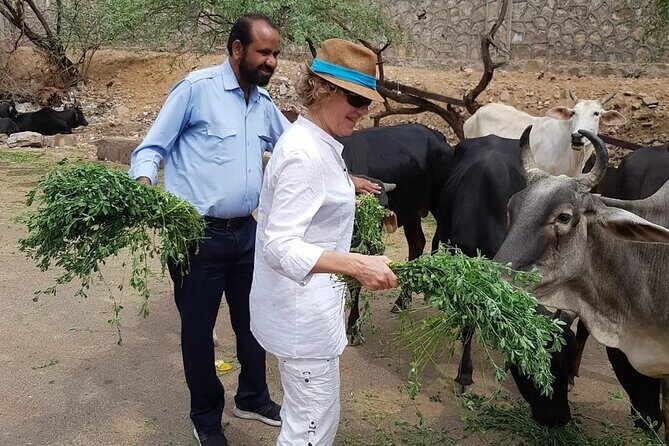 Jaipur Half-Day Private Tour by Car or Tuk-Tuk - A Few Considerations