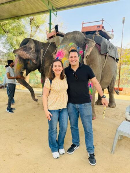 Jaipur Half-Day Tour Amer Fort, Jal Mahal & Stepwell - The Sum Up