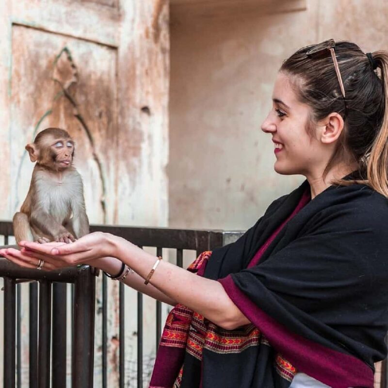 Jaipur: Half or Full-Day Sightseeing Tour with Guide+ Pickup - Good To Know