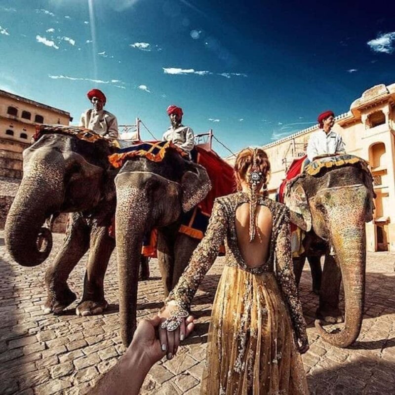 Jaipur: Hathi Gaon Elephant Riding Painting-Feeding Activity - Introduction