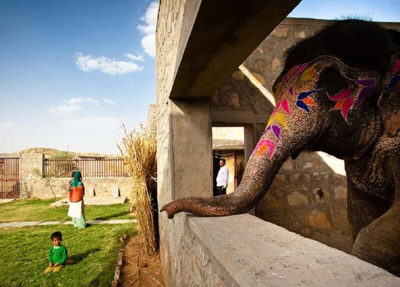 Jaipur: Hathi Gaon Elephant Riding Painting-Feeding Activity - Good To Know