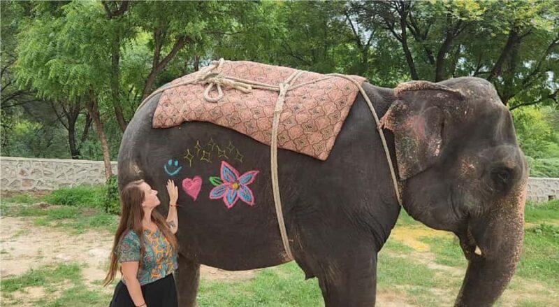 Jaipur: Hathi Gaon Elephant Riding Painting-Feeding Activity - Why This Tour Stands Out