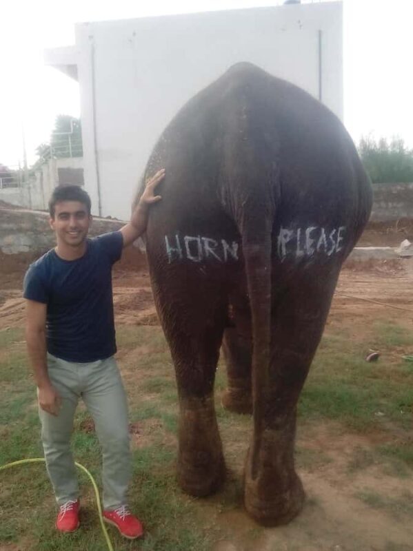 Jaipur: Hathi Gaon Elephant Riding Painting-Feeding Activity - Final Thoughts