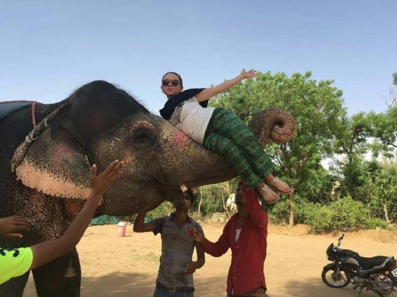 Jaipur: Hathigao Elephant Village Ride, Feeding, & Photos - What to Expect from the Tour