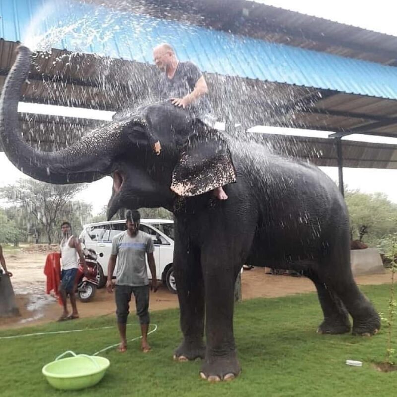 Jaipur: Hathigao Elephant Village Ride, Feeding, & Photos - The Itinerary in Detail