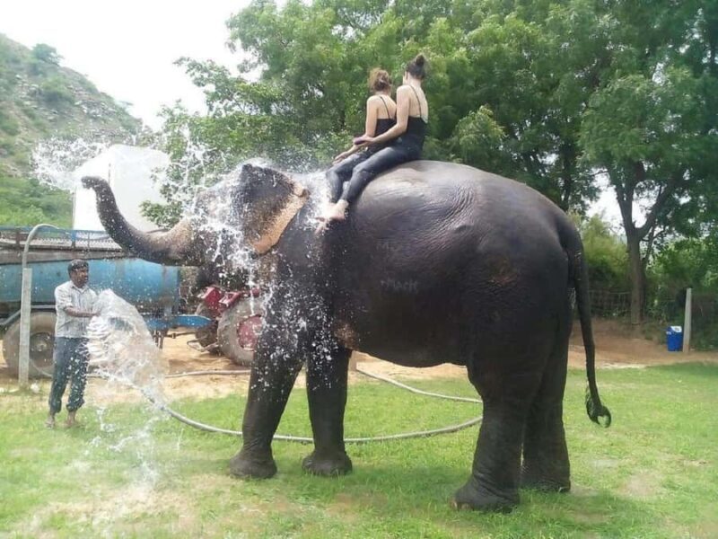 Jaipur: Hathigao Elephant Village Ride, Feeding, & Photos - Transportation and Comfort