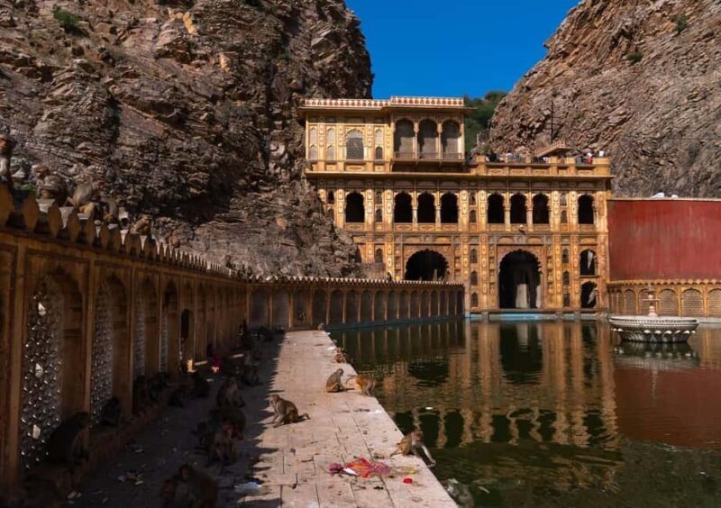 Jaipur: Heritage Forts & Palaces Tour with Monkey Temple - Who Is This Tour Best For?