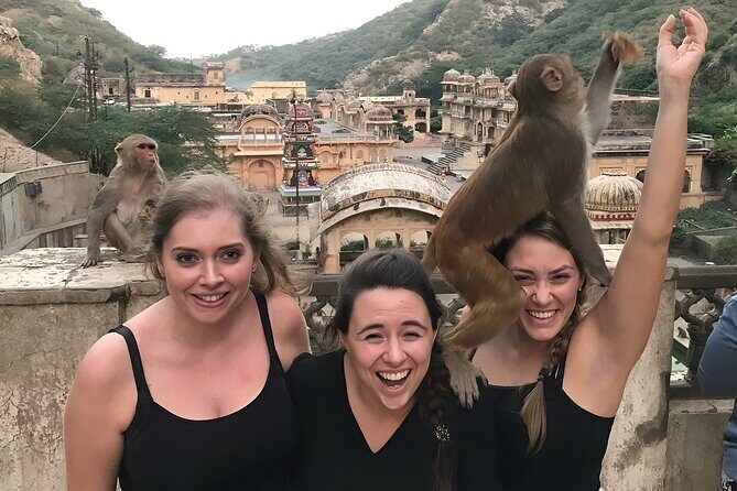 Jaipur Heritage Tour with Monkey Temple & Nahargarh Sunset - A Closer Look at the Itinerary