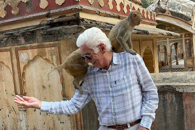 Jaipur Heritage Tour with Monkey Temple & Nahargarh Sunset - Final Thoughts