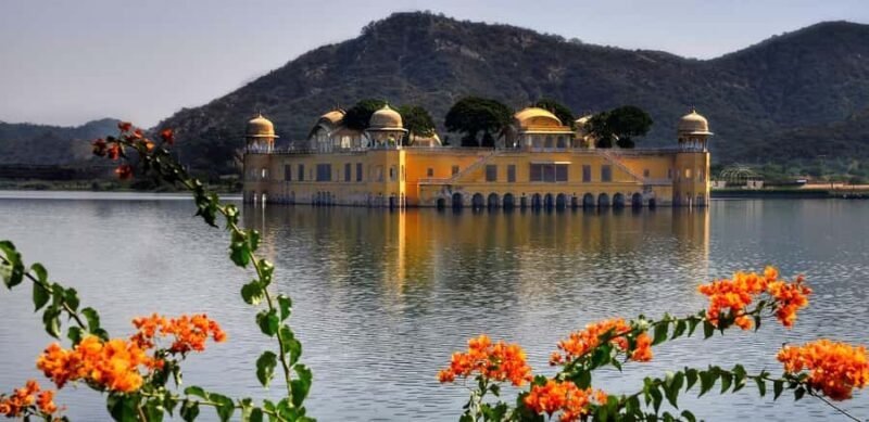 Jaipur in a Day: Explore the Capital of Rajasthan Pink City - Why Choose This Tour?