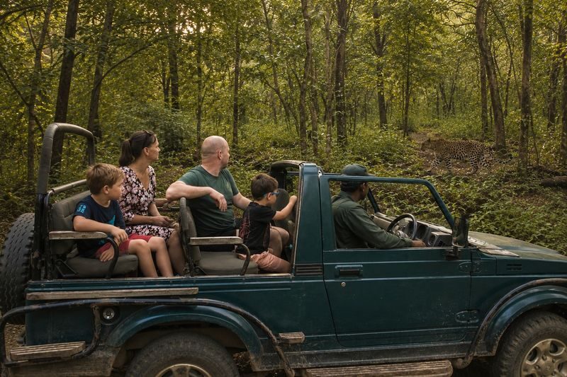 Jaipur: Jhalana Amagarh Leopard Reserve 4x4 Jeep Safari - What the price buys, and what it cannot buy
