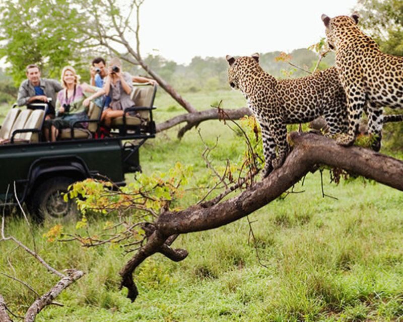 Jaipur: Jhalana/Amargarh Leopard Safari Private Tour - Good To Know