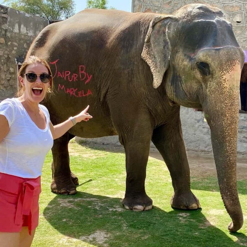 Jaipur: Night Tuk Tuk Tour with English Speaking Driver - Good To Know