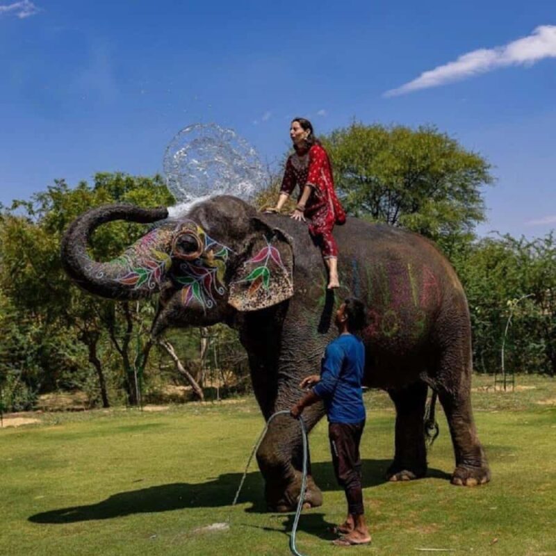 Jaipur: Night Tuk Tuk Tour with English Speaking Driver - Practical Details and Value