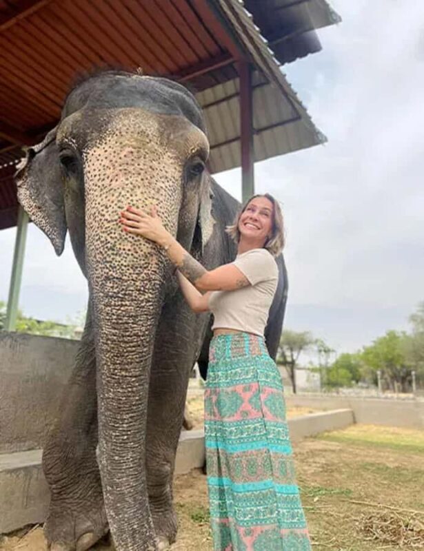 Jaipur: Night Tuk Tuk Tour with English Speaking Driver - Final Words