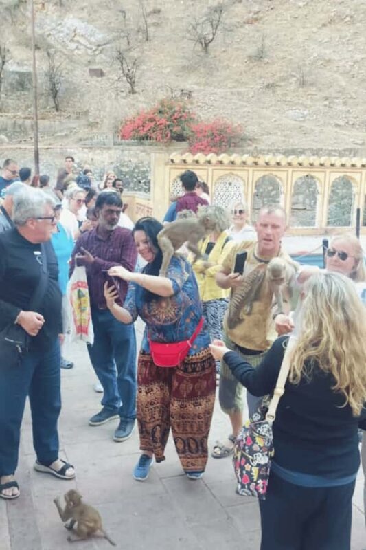 Jaipur: Pink City Heritage Walk with Chai & Local Stories - The Sum Up