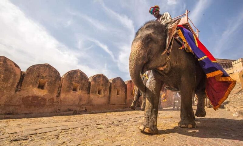 Jaipur Private Day Tour by Car with a Guide - A Detailed Look at the Jaipur Private Day Tour