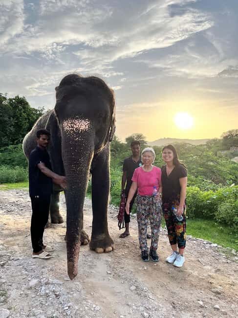 Jaipur: Private Elephant Sanctuary - The Sum Up