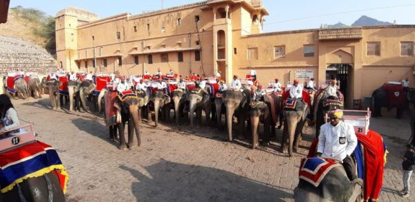 Jaipur: Private Full-Day City Tour By Private Car - The Sum Up