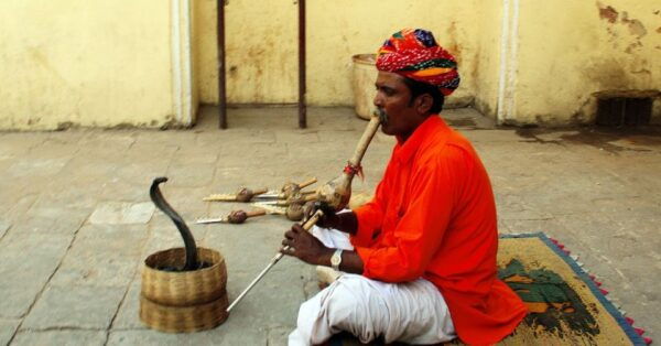 Jaipur: Private Full-Day City Tour - Overall Customer Satisfaction