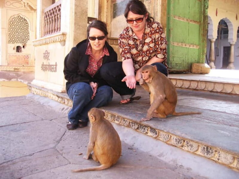 Jaipur: Private Full-Day Pink City Tour with Monkey Temple - Good To Know